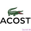 Lacoste – бренд, заслуживающий внимания
